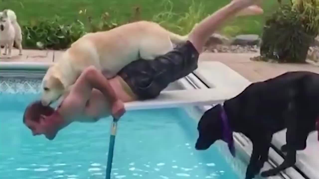 Try not to laugh, see weird things mlaughan goes through