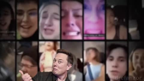 elon musk logging into twitter today like🤣😎🥳