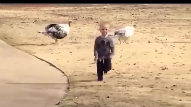 Amazing video 📹
