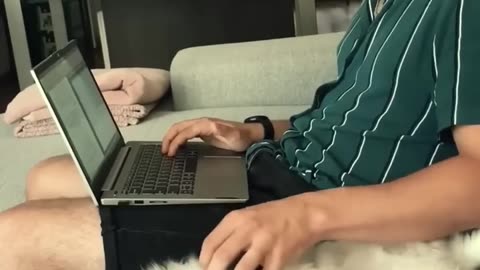 Funniest cats🐱In The World😂 Funny and Fails Pets Video #shorts #54 #cats #funny