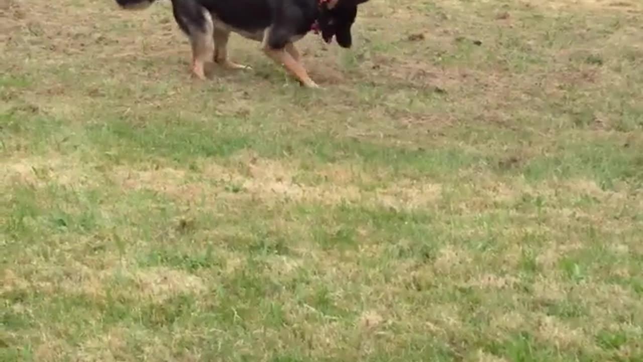 Fiona with her rock