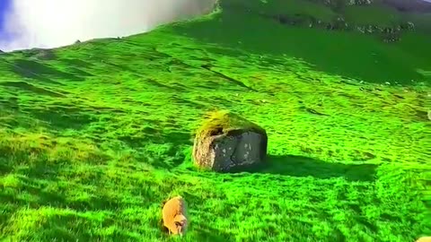 nature view💖💖✨