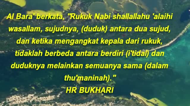 Sujud, antara dua sujud, mengangkat kepala dari rukuk, i'tidal dan duduknya semuanya thu'maninah