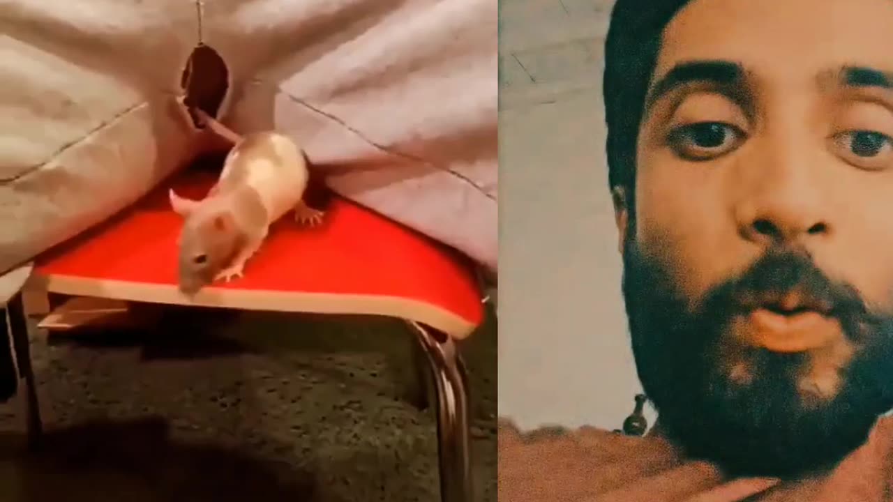 TRY NOT TO LAUGH CHALLENGE GONE EXTREMELY WRONG🤣🤣🤣 part 33