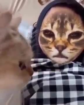 Cat reacts to Cat Face Filter LOL