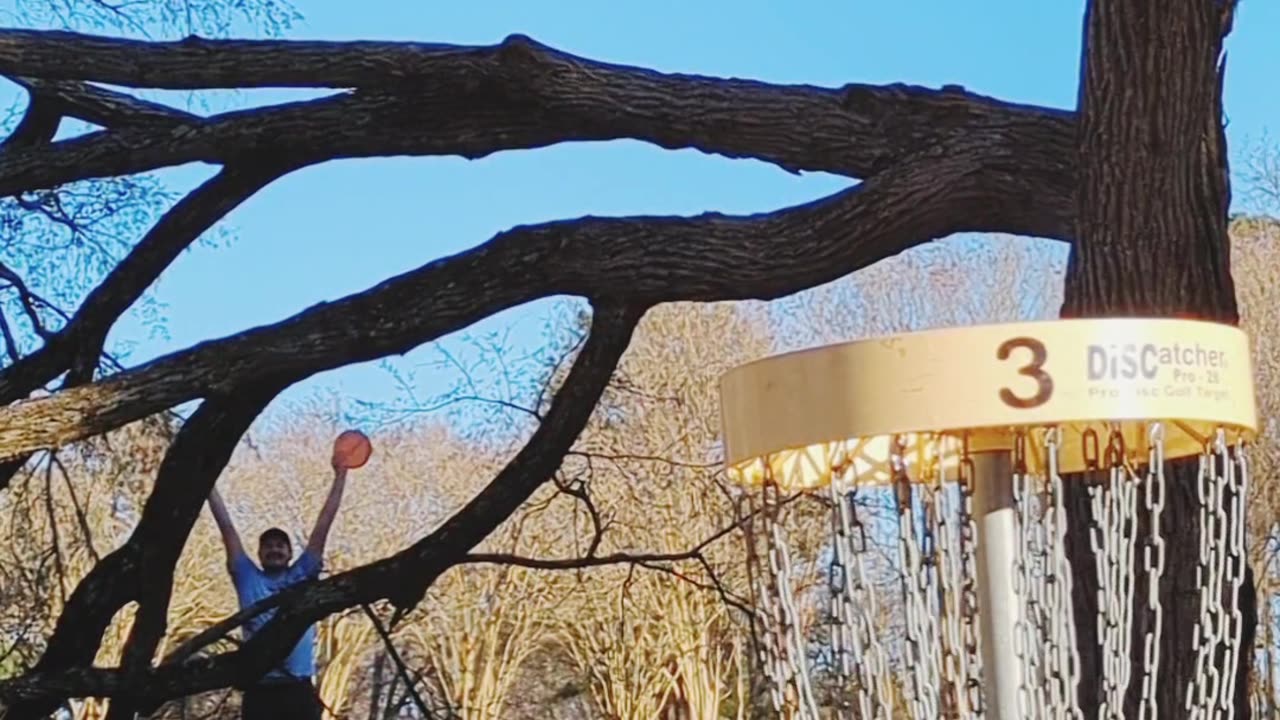 Disc Golf Trick Shots