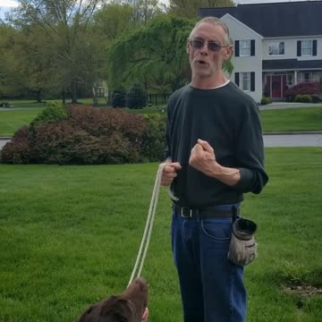 Murphy's 5 Points of the Paw part 6