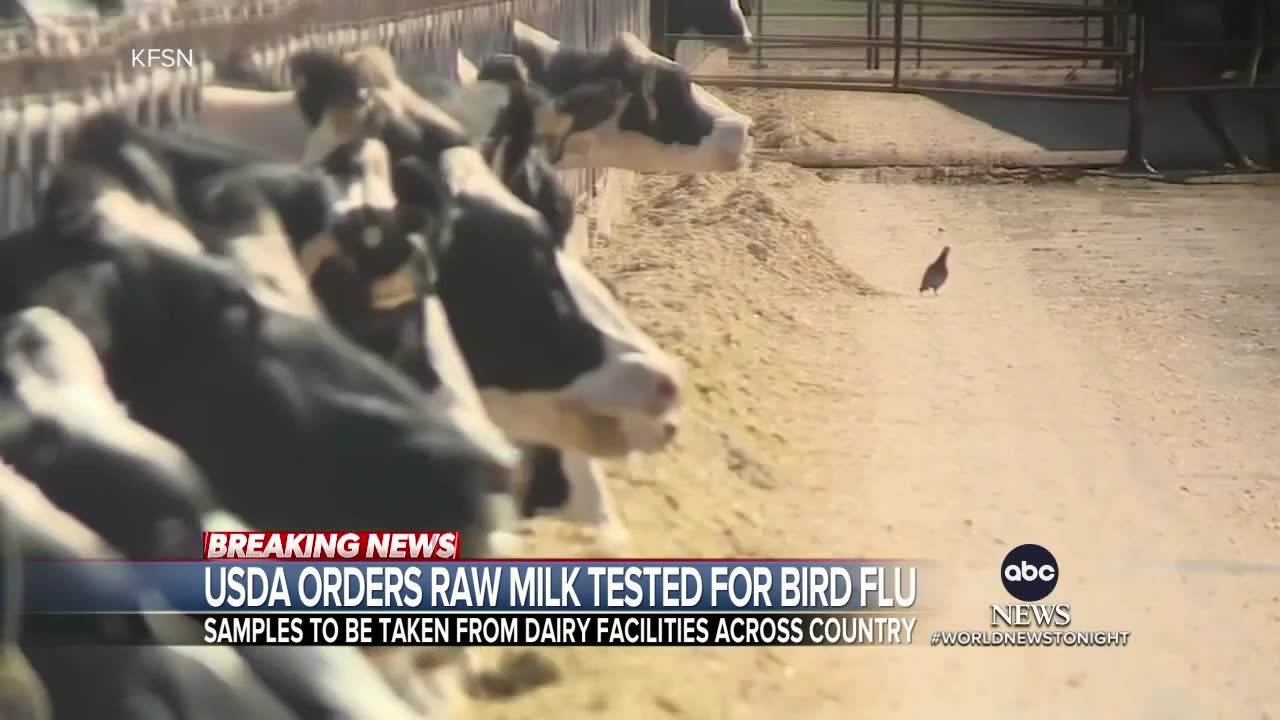 USDA orders raw milk samples nationwide to be tested for bird flu 🤡