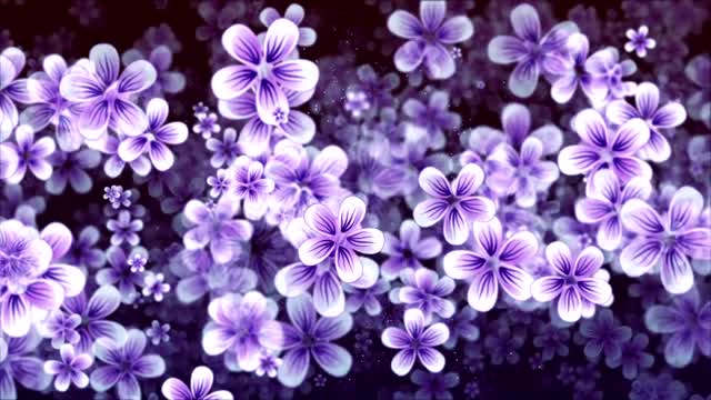 Purple Flower Background
