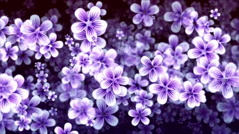 Purple Flower Background