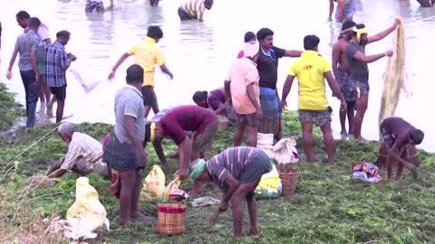 Indian fishermen rejoice at grand fishing festival