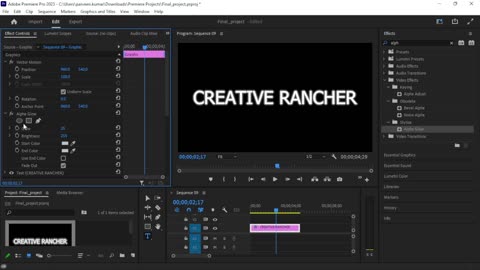 Adobe Premiere Pro - How to Create Text Glowing Effect