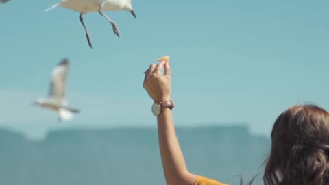 Cute Animal Videos 🐱🐱🐱 Animal Reaction For Eating Food 😋😋 #food #animal