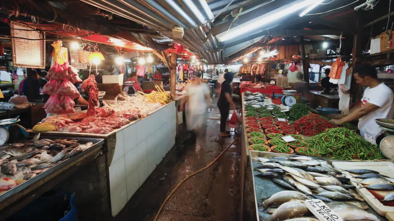 MALAYSIA | A Short Cinematic Travel Video | Stock Footage