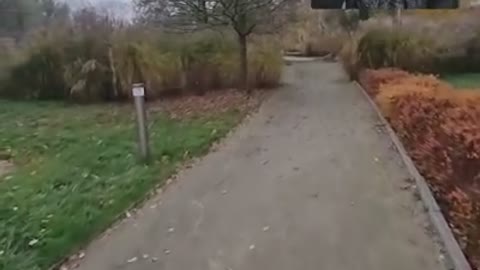 Ujawnienie