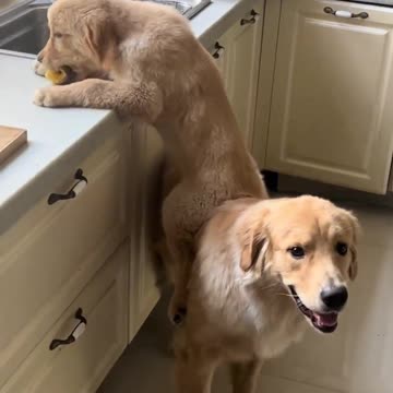 Team work has it’s rewards