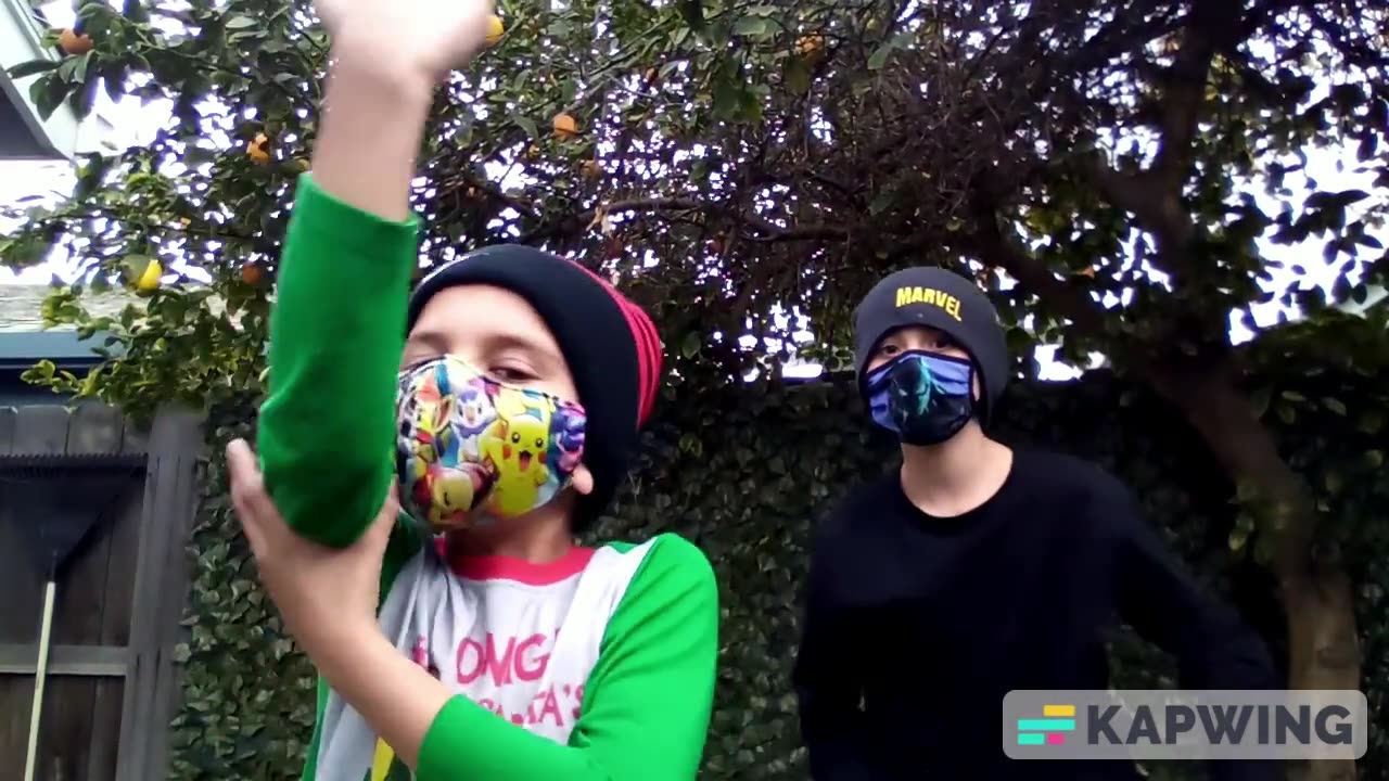 LOW BUDGET VIDEO GAMES