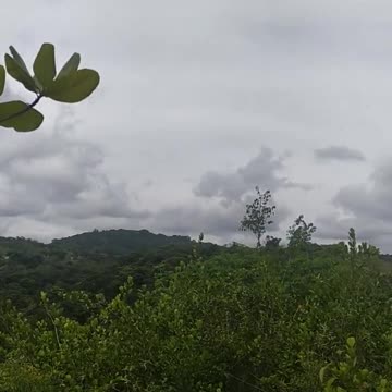 Nada melhor do que passar as férias no meio da natureza