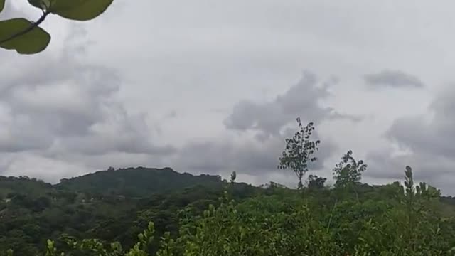 Nada melhor do que passar as férias no meio da natureza