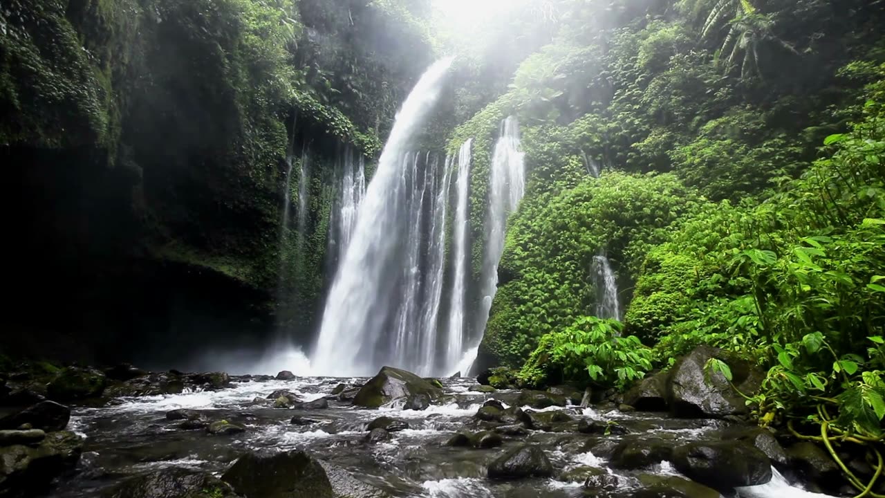 Bird Sounds for Nature Lovers: A Treat for the Senses