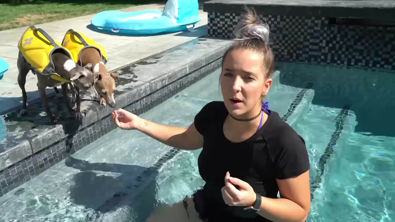 Teaching My Dogs How To Swim