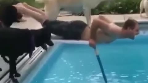 Hang out at the pool