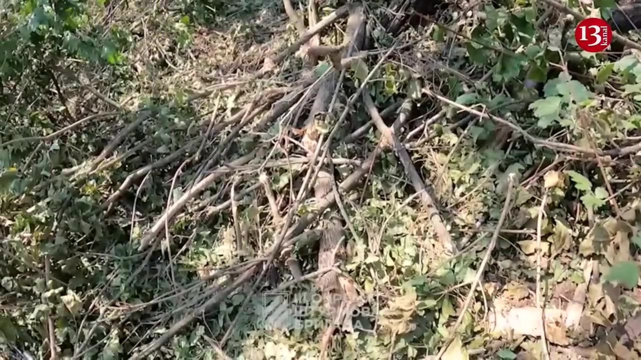 "Tanks are coming for help, open fire"- Forest battle between 3rd brigade and Russians near Bakhmut