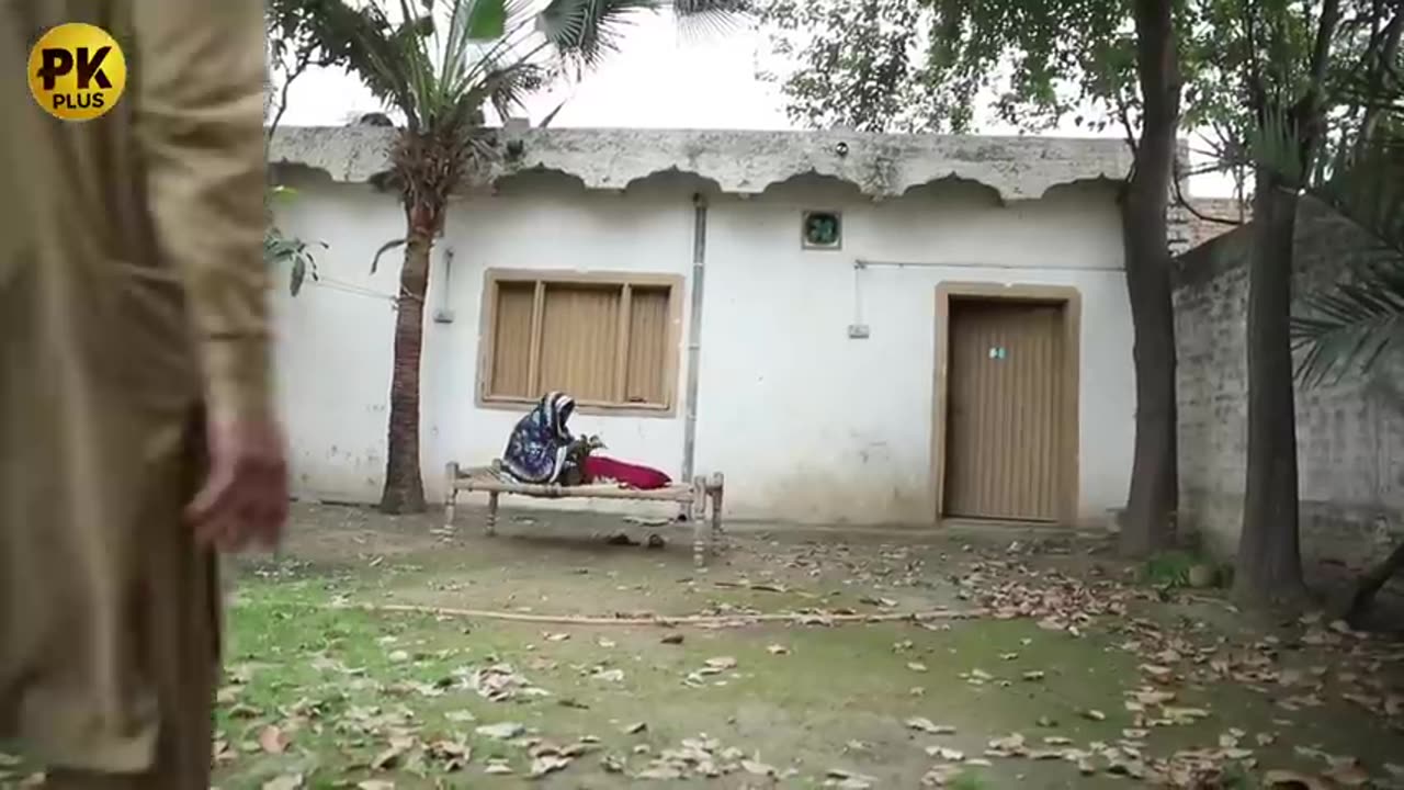 Akhtar Ao Lofar Funny Video By PK Plus Vines 2023 - #pkplusvines #pkvines