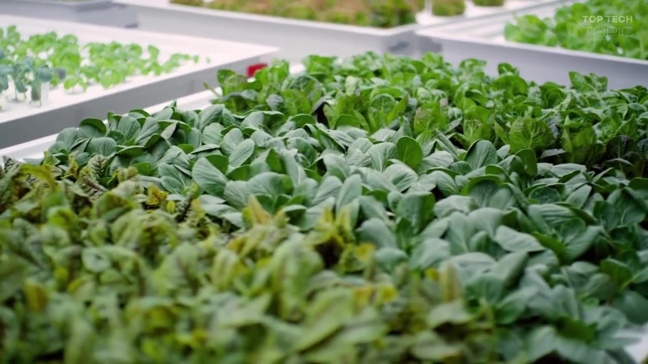 vertical farms ai and robots