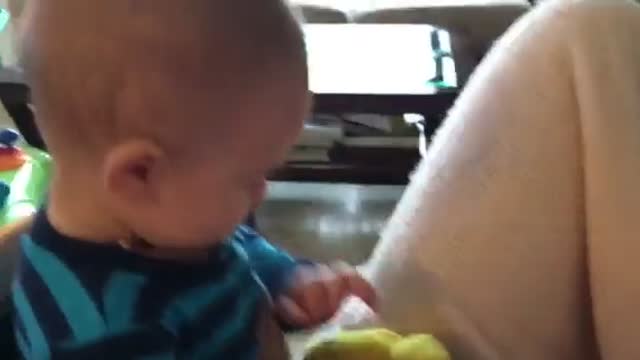 Baby petting dog