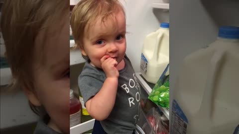 Funny Baby Video- When they open the fridge :)