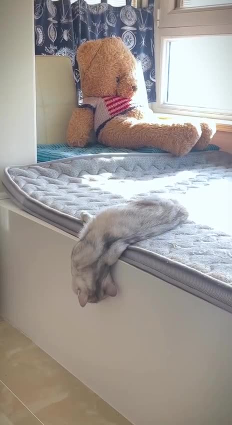 How I sleep at times 😂😂