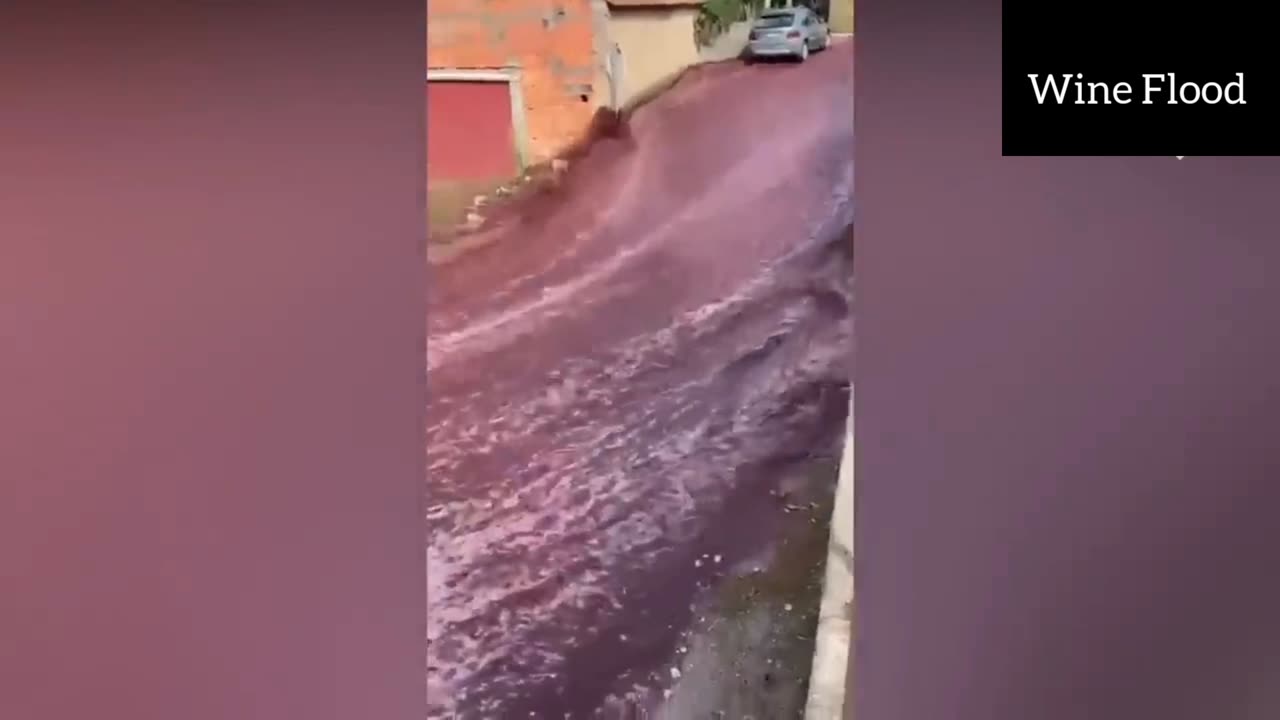 Red Wine Flood