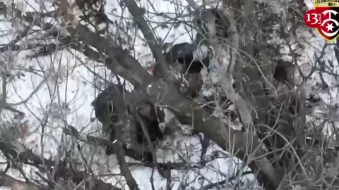 Russian group attacking towards Bakhmut was ambushed in the snowy forest – footages from dron