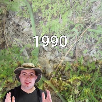 When Was The Earth Day?! | Early Morning Eland 14