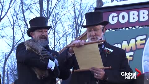 Groundhog Day 2022: Punxsutawney Phil predicts 6 more weeks of winter