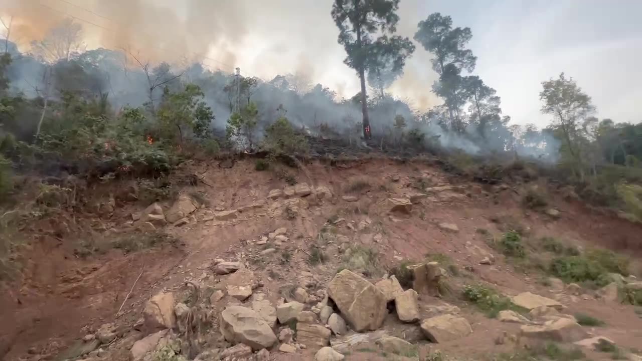 Forest Fire Fighter in Pakistan’s