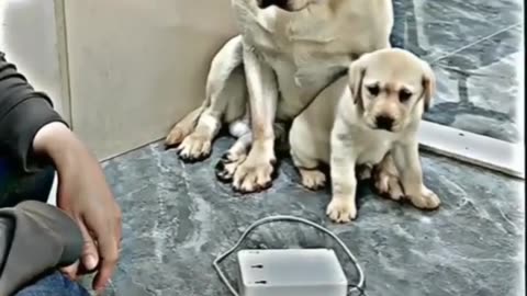 Mira que rompe cable a hijo y el pega a hijo pero mira como cuidar a madre