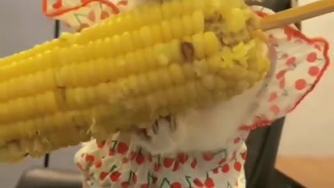 Hungry cat eating corn! Yummy!