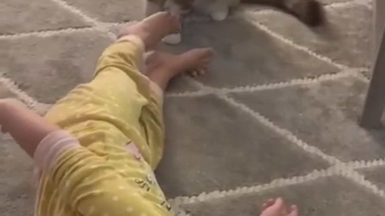 Cute baby videos