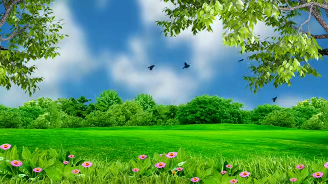 Nature scenery with beautiful background