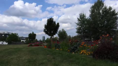 4k mother nature 