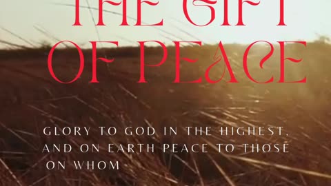 Sunday Devotional Advent the gift of Peace