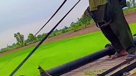 Amazing driving Funny