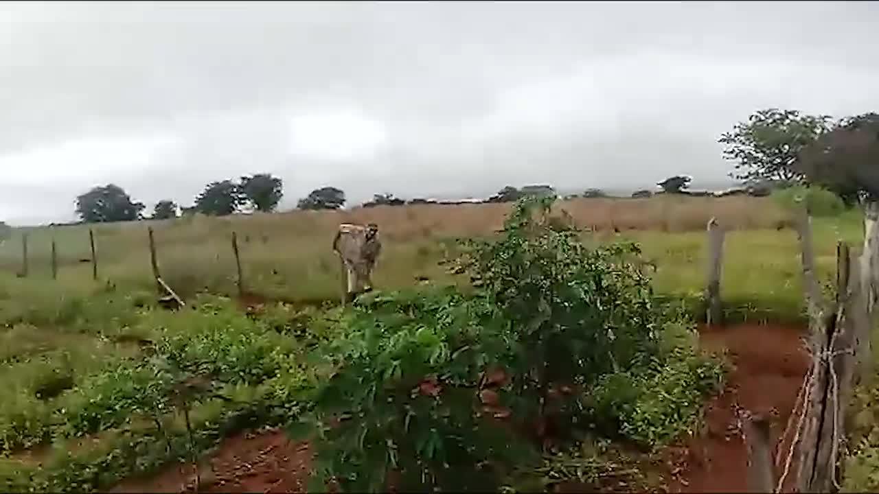 EDUARDO é GENTE BOA, só não MEXA com a PINGA dele, ai o homem vira uma FERA hahaha.