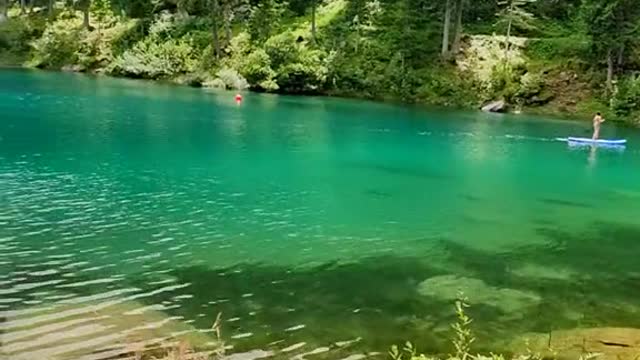 Nice to be here 🌲