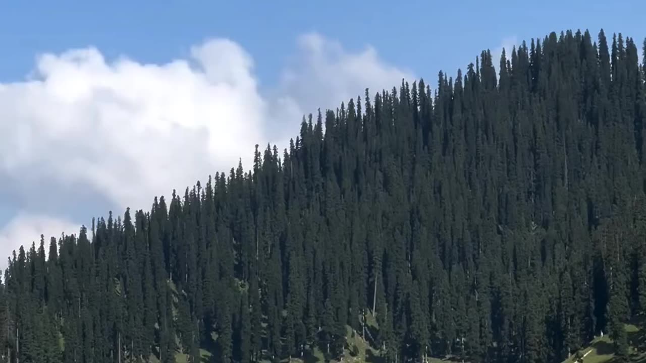 NATURE