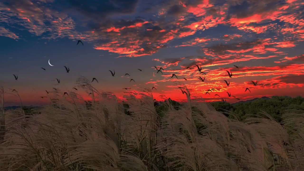 "This calm day, when the wind does not fold, is also shining"