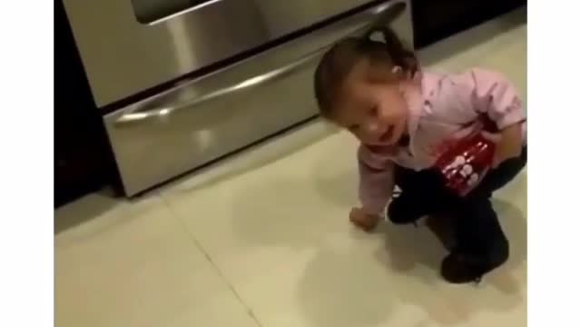 The confused behavior of the little belle