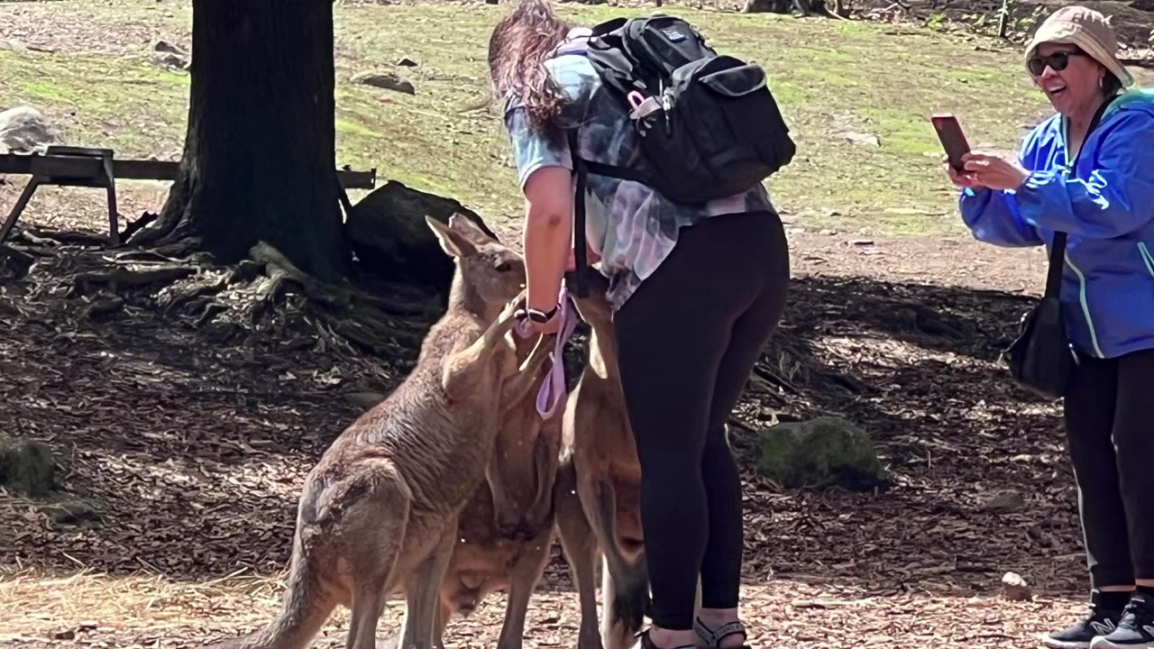 Our visit to Bernie, Tasmania, Australia, 2023